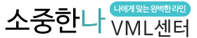 ѳVML